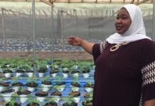 Burkina : Adjaratou Sanogo, l’amazone de l’agriculture hors-sol