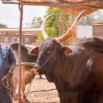 WhatsApp Image 2024-02-20 at 14.52.30