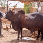 WhatsApp Image 2024-02-20 at 14.52.41